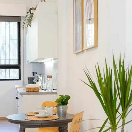Apartment Oasis Urbano - Terraza Y Vistas Al Palmeral Junto Al Centro