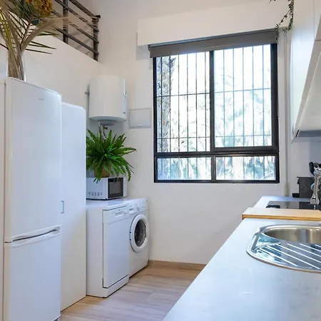 Oasis Urbano - Terraza Y Vistas Al Palmeral Junto Al Centro